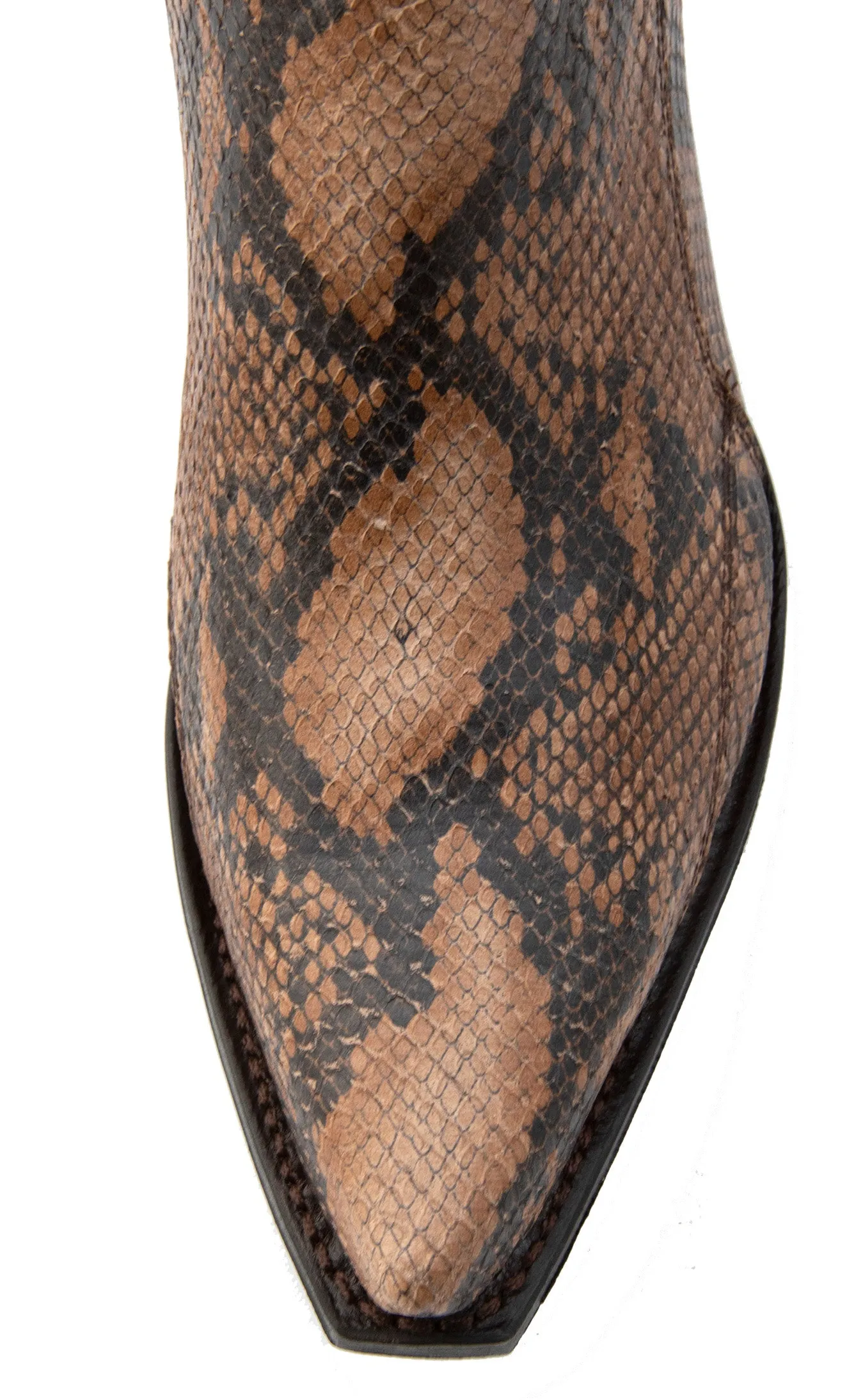 Snake  Ankle boots