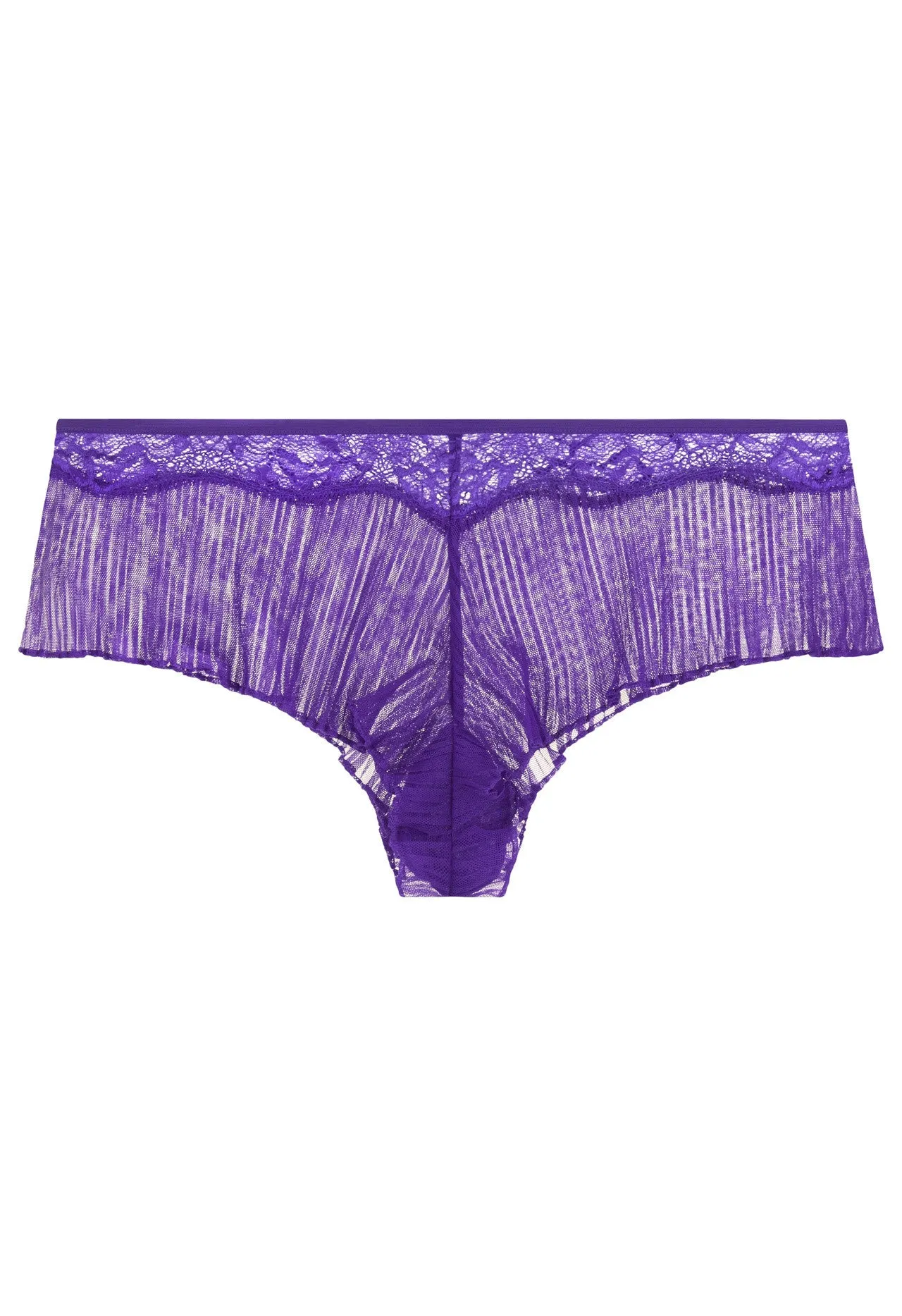 Violet Semi-Sheer Tulle With Leavers Lace