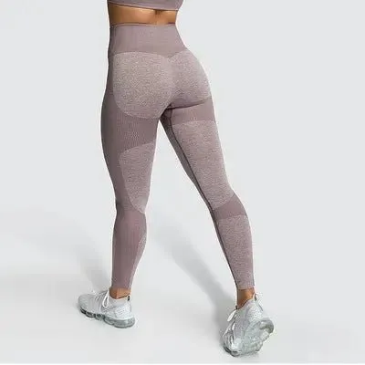 Women's Seamless Sport Leggings - Gym Fitness Yoga Set